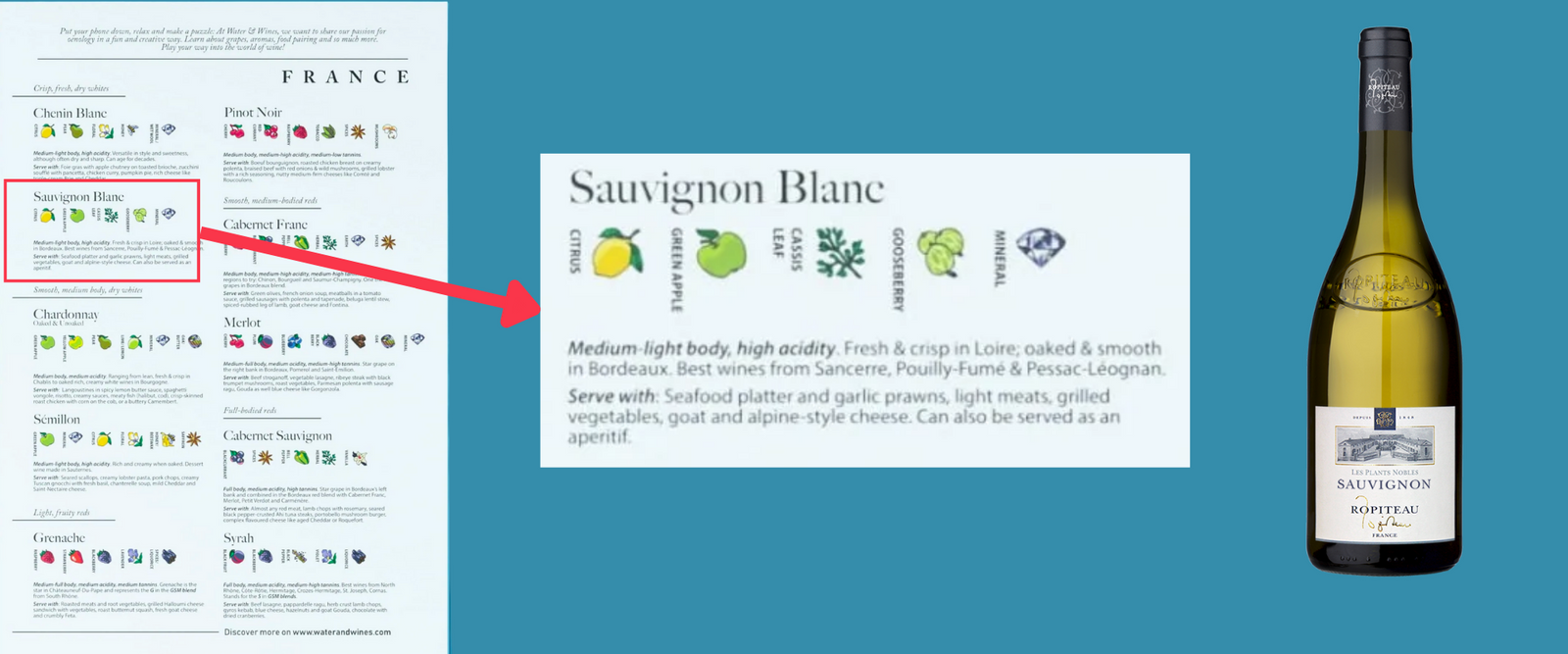 Wine aromas and food pairing tips with each wine!
