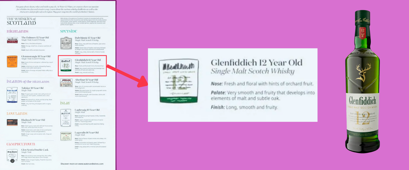 Wine aromas and food pairing tips with each wine!