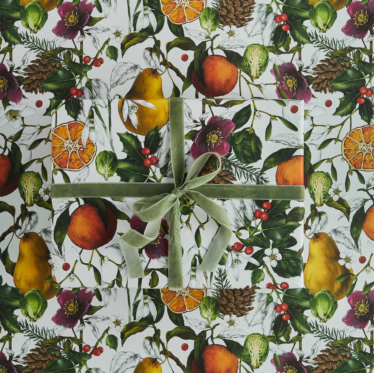 Gift Wrap | No. 1 &#39;The Botanist Archive : Festive Edition&#39;/Ivory | Catherine Lewis Design