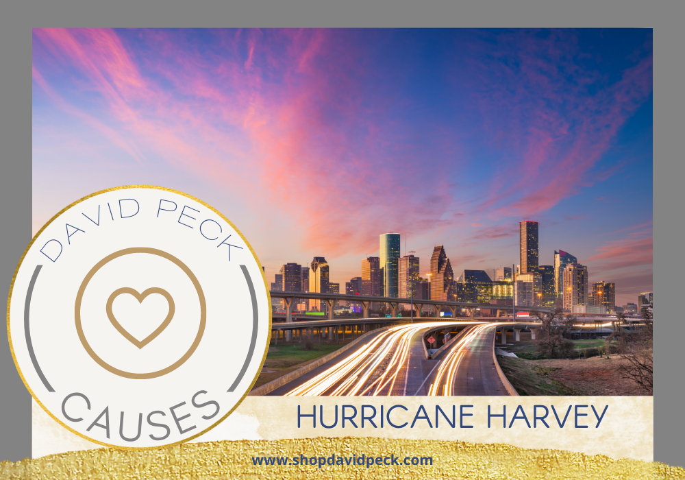 causes. houston's downtown during sunset. pink, purple, and blue skies above houston skyline