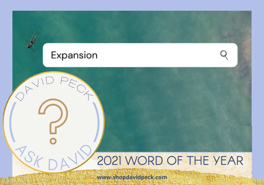 ask david. David Peck's 2021 Word of the Year is Expansion. vast ocean with google search bar with the word expansion and a girl swimming next to it.