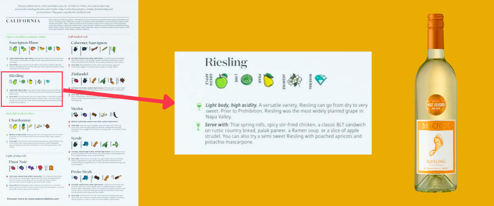 Wine aromas and food pairing tips with each wine!