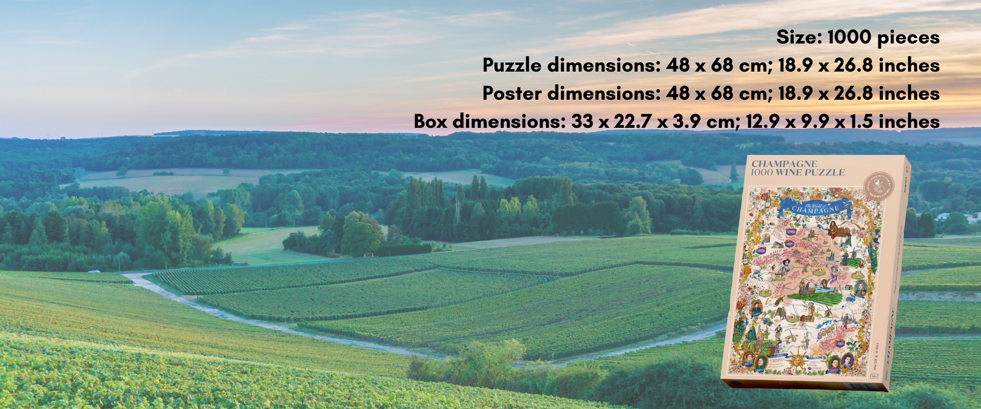 Champagne box puzzle dimensions. Background is Reims, a city in champagne