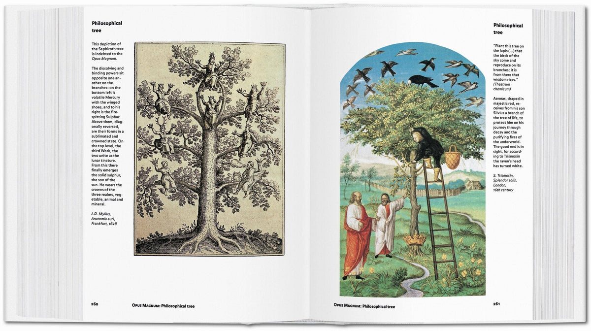 Alchemy & Mysticism | Alexander Roob
