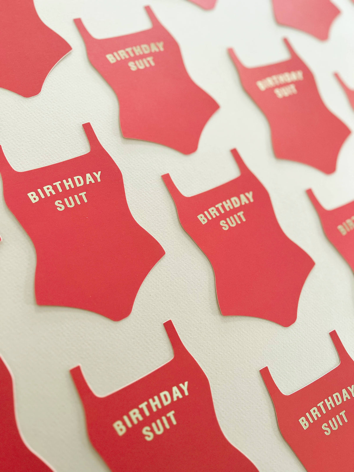 Birthday Card | Birthday Suit Flat | Ginger P. Designs