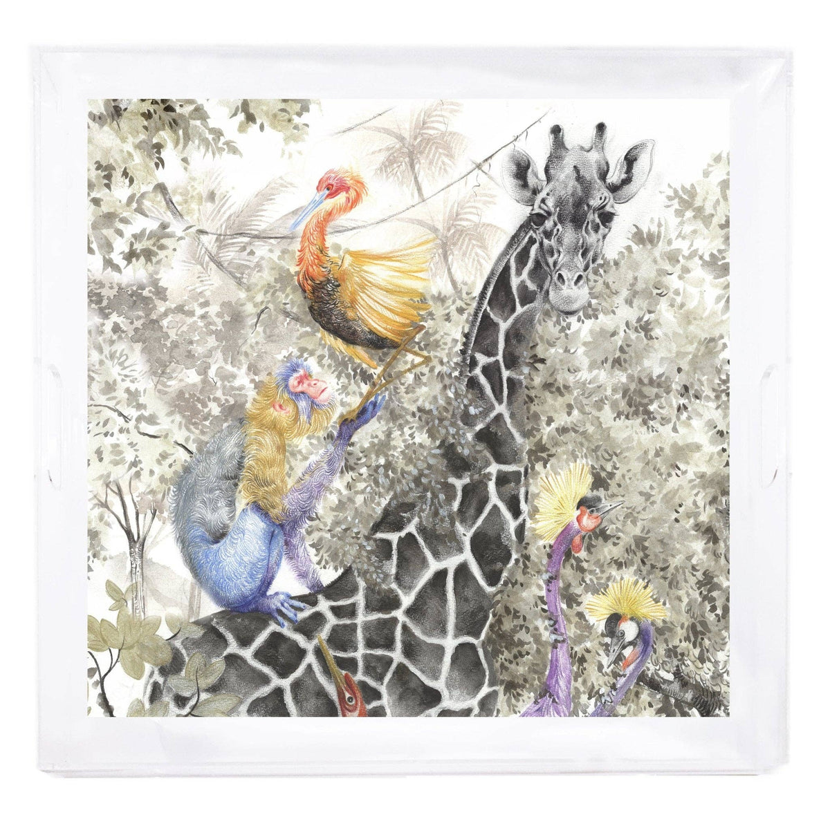 Acrylic Large Square Tray | Arcadia Giraffe | Nicolette Mayer Collection
