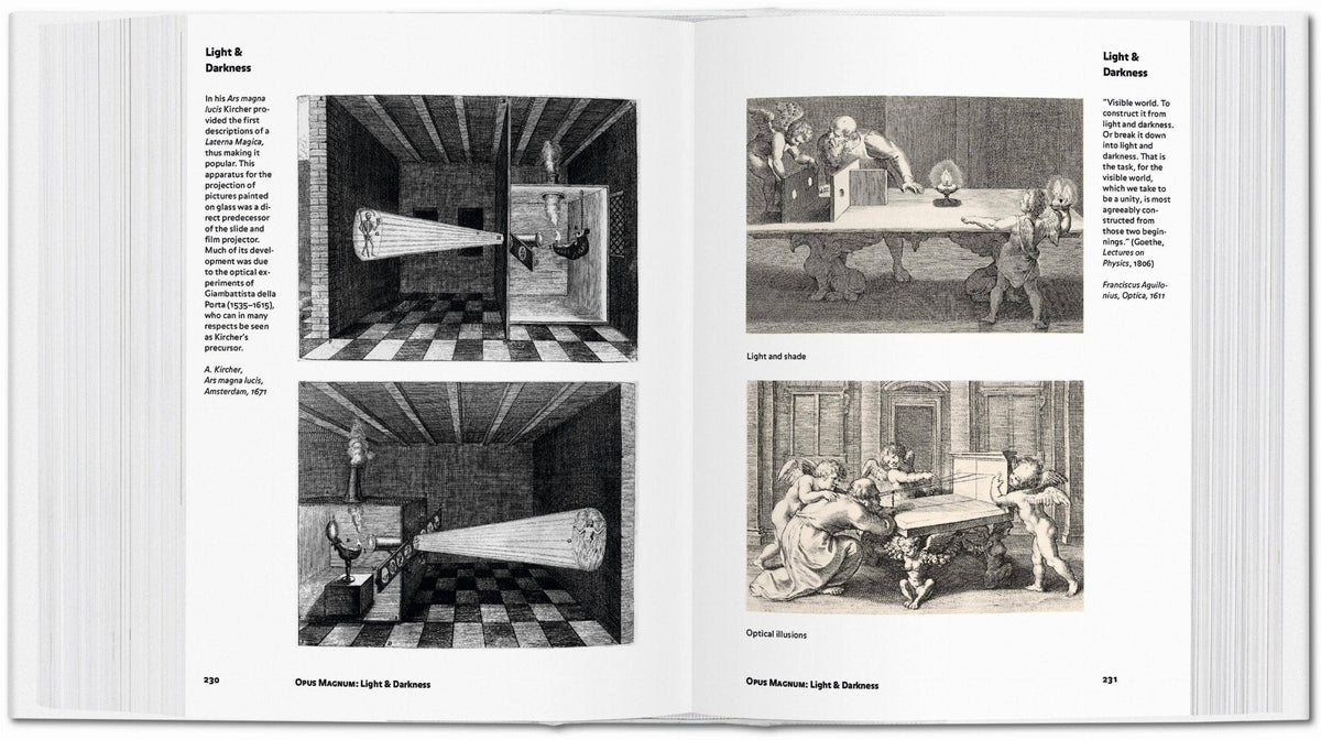 Alchemy & Mysticism | Alexander Roob