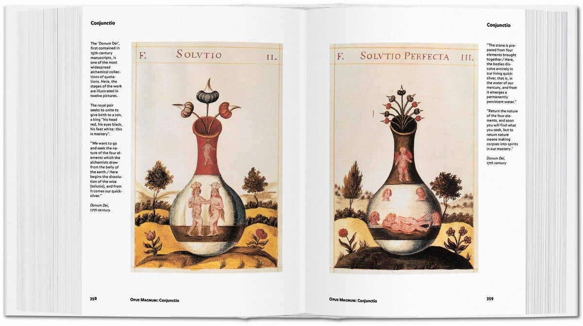 Alchemy & Mysticism | Alexander Roob