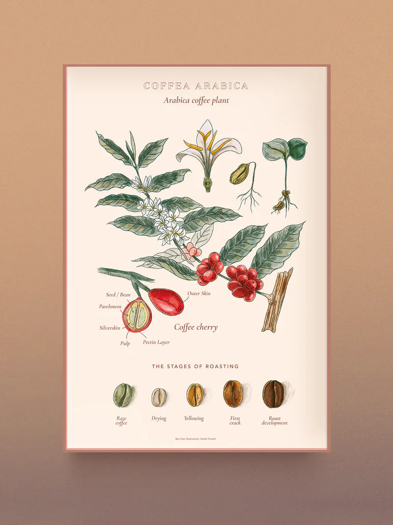 1000 Piece Coffee Puzzle | Coffee Wonderlands | Water &amp; Wines