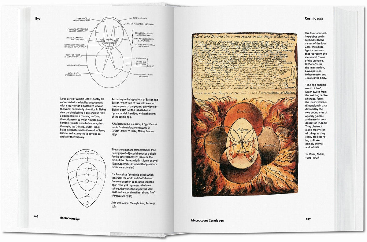 Alchemy & Mysticism | Alexander Roob