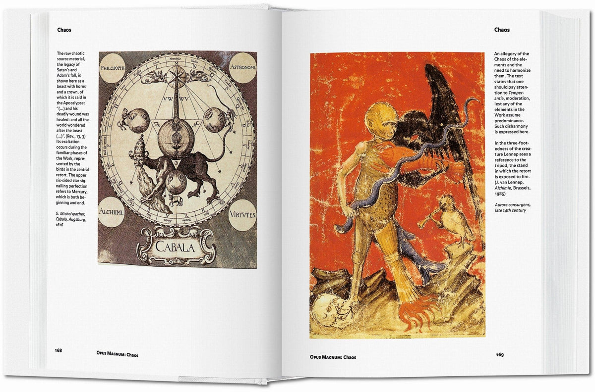 Alchemy & Mysticism | Alexander Roob