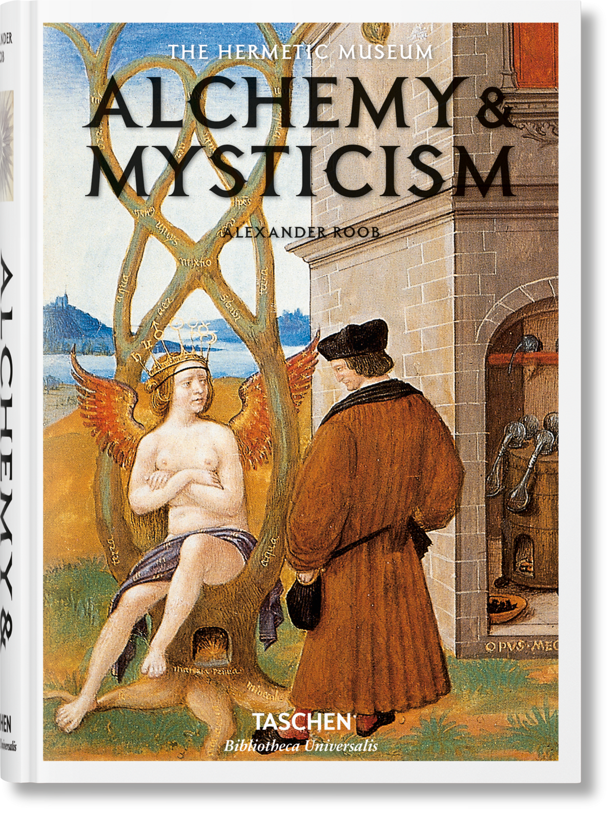 Alchemy & Mysticism | Alexander Roob