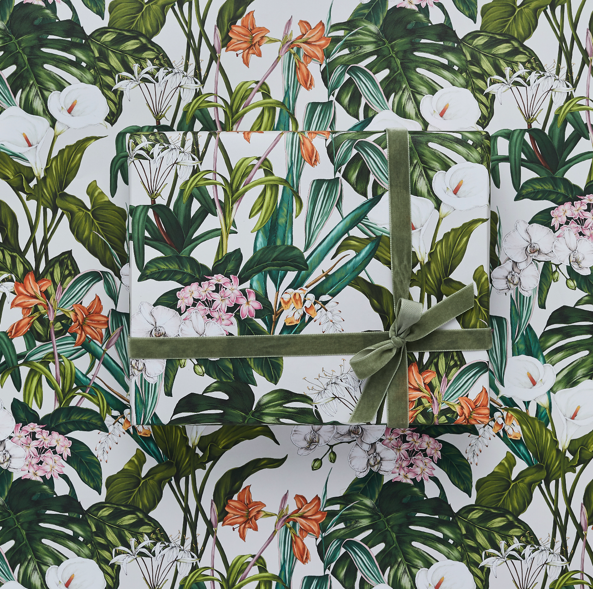 Gift Wrap | Palm House Tropics/Ivory | Catherine Lewis Design