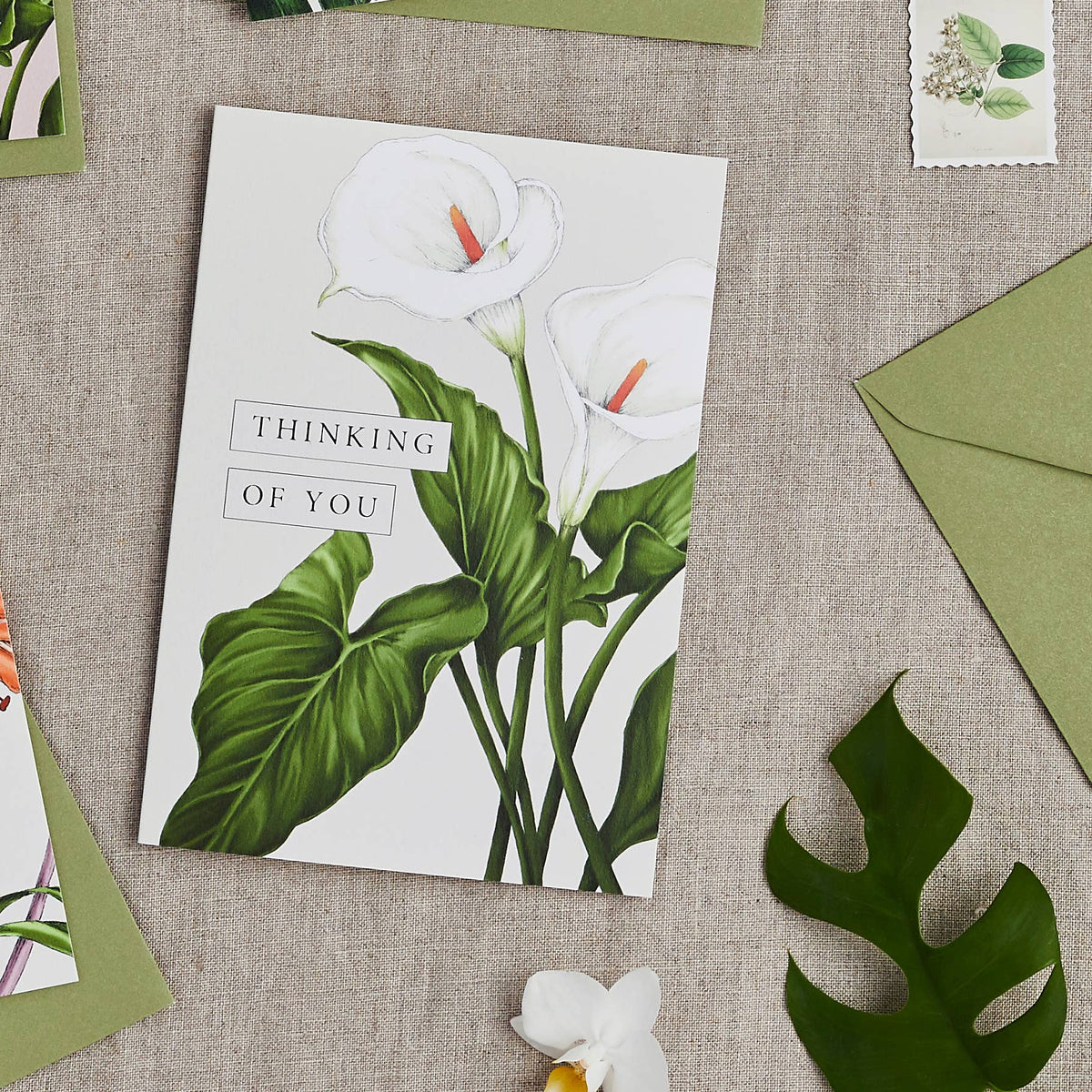 Greeting Card | Palm House Tropics/Thinking of You | Catherine Lewis Design