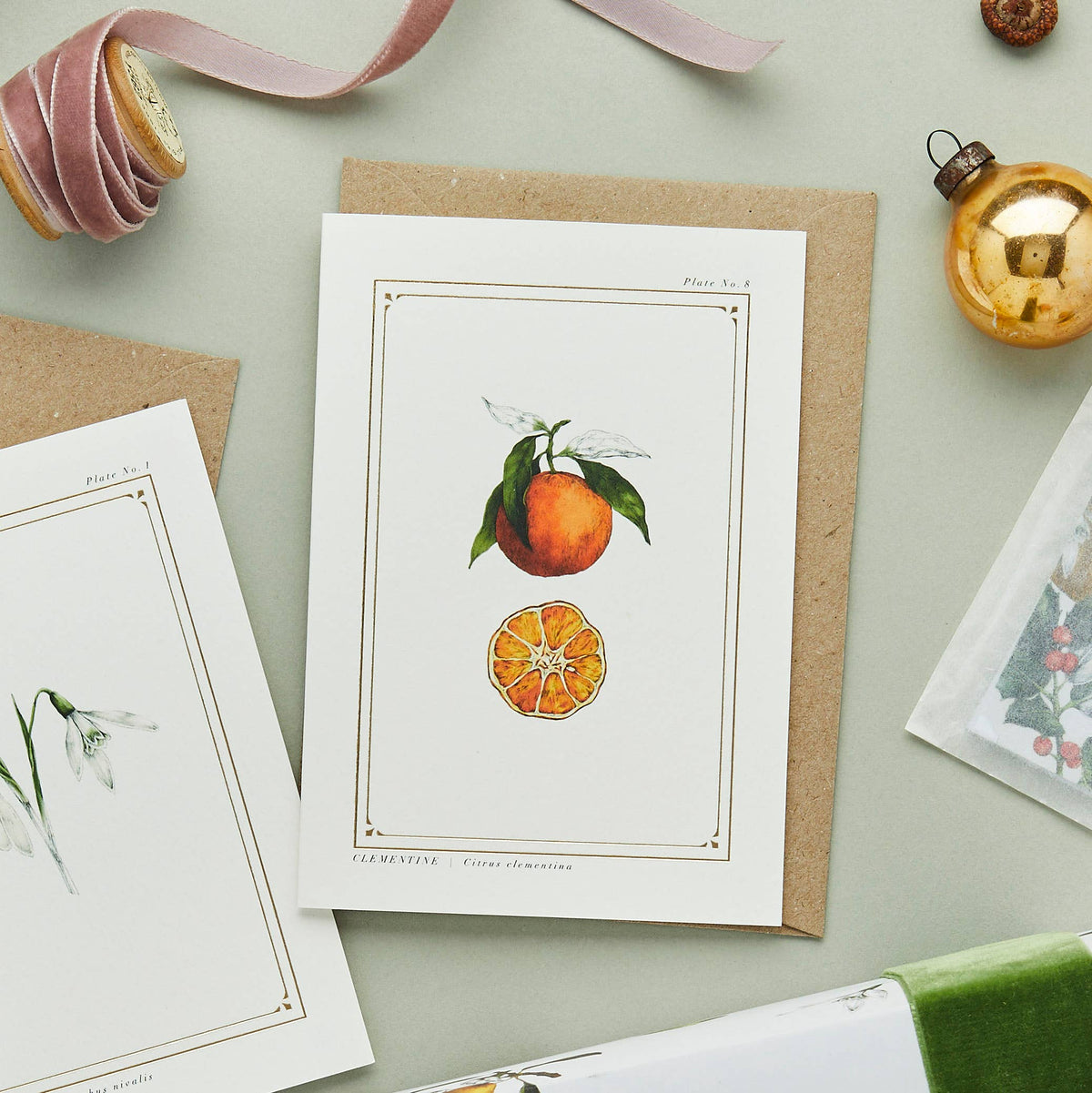 Greeting Card | Clementine/&#39;The Botanist Archive: Festive Edition&#39; | Catherine Lewis Design