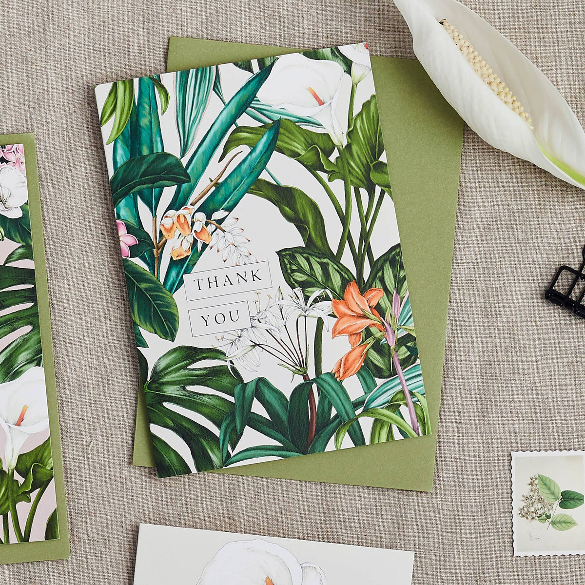 Greeting Card | Palm House Tropics/Thank You | Catherine Lewis Design