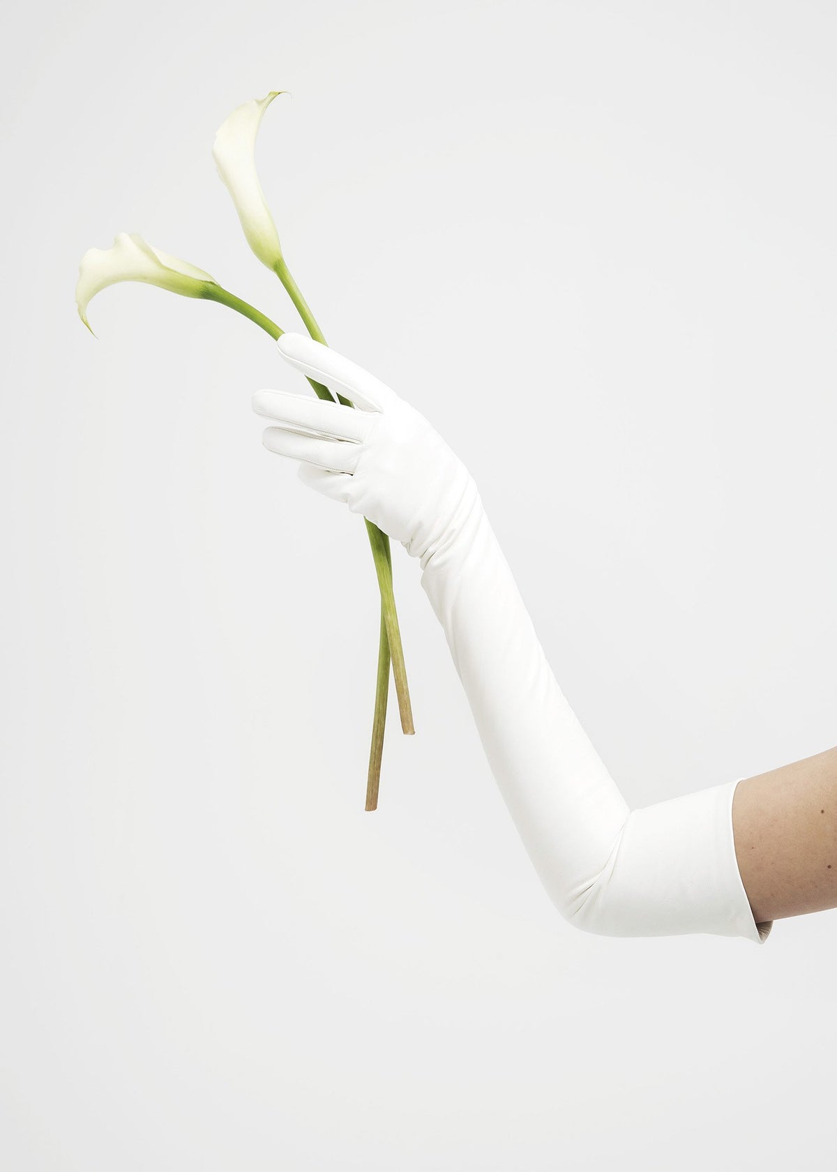 Contessa Gloves | White Lambskin | Carolina Amato