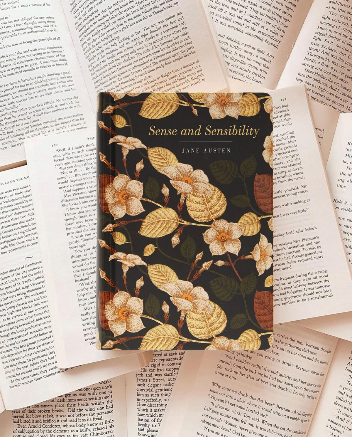 Sense and Sensibility (Chiltern Classic) | Jane Austen