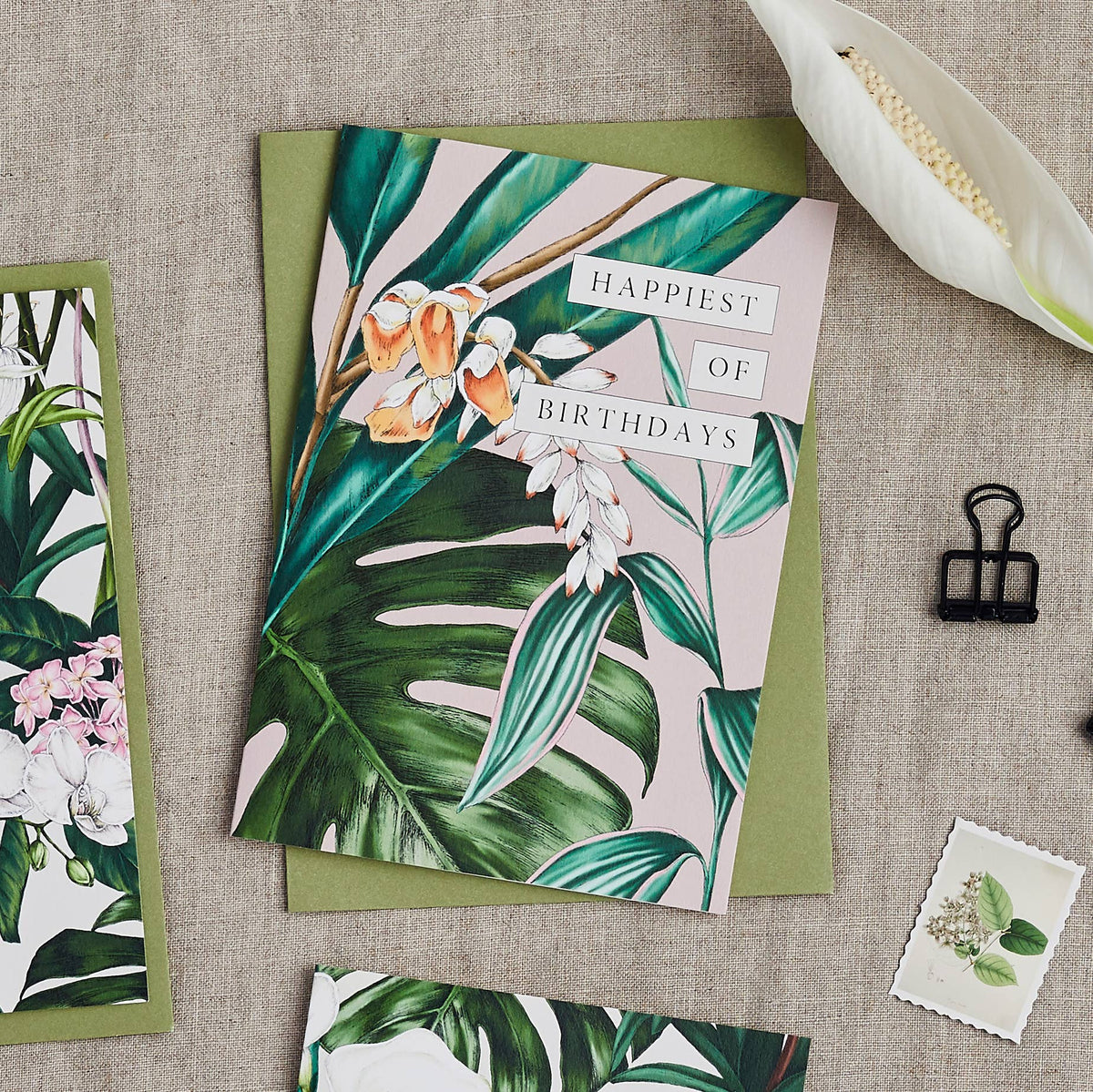 Birthday Card | Palm House Tropics/Happiest of Birthdays | Catherine Lewis Design