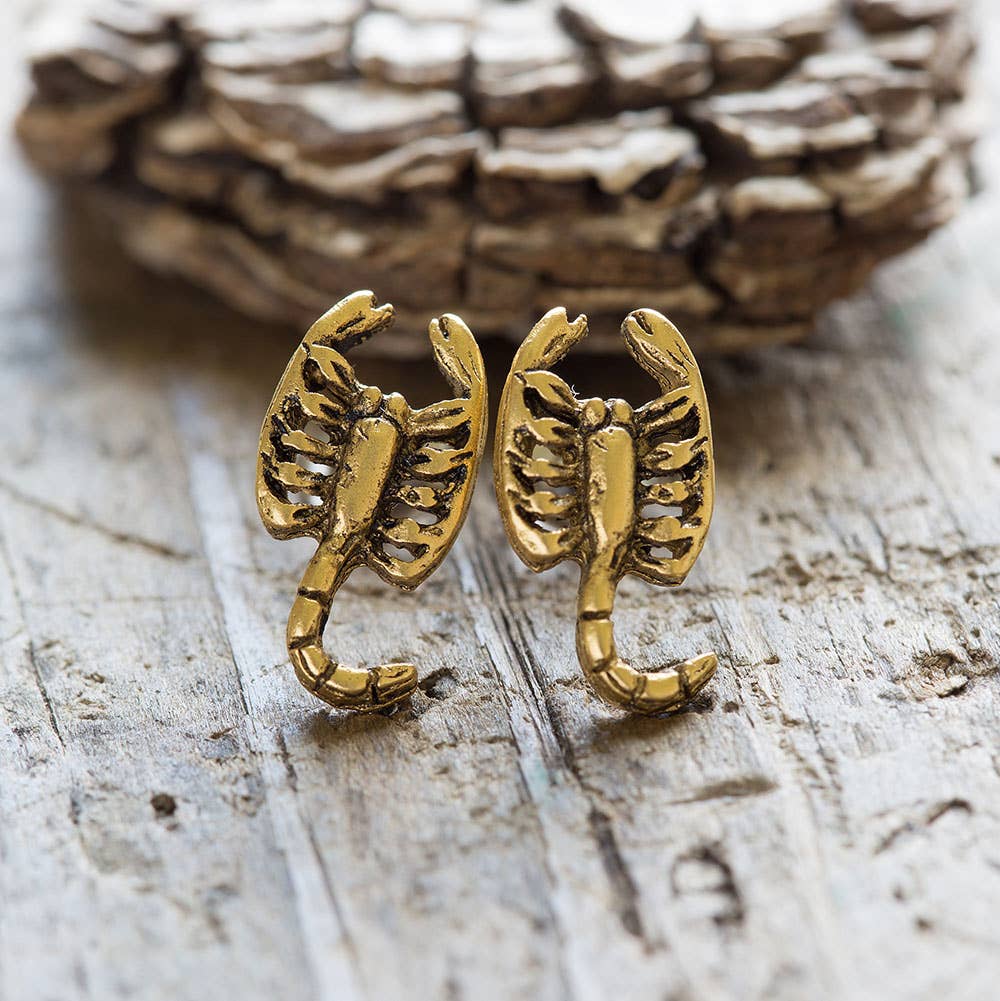 Scorpion Stud Earrings | Amano Studio