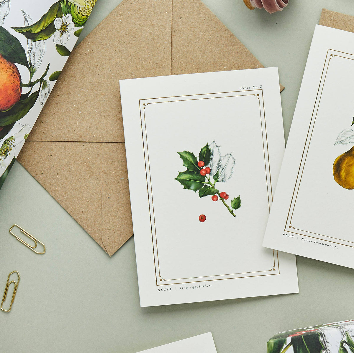 Holiday Card | Holly/&#39;The Botanist Archive : Festive Edition&#39; | Catherine Lewis Design