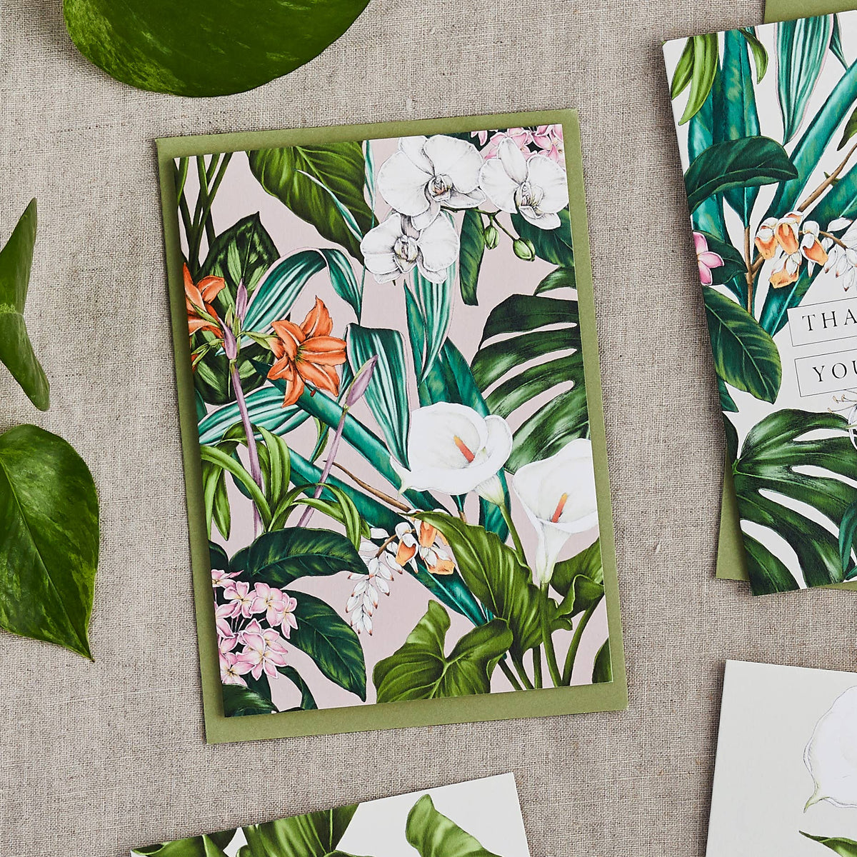 Greeting Card | Palm House Tropics/Blank | Catherine Lewis Design