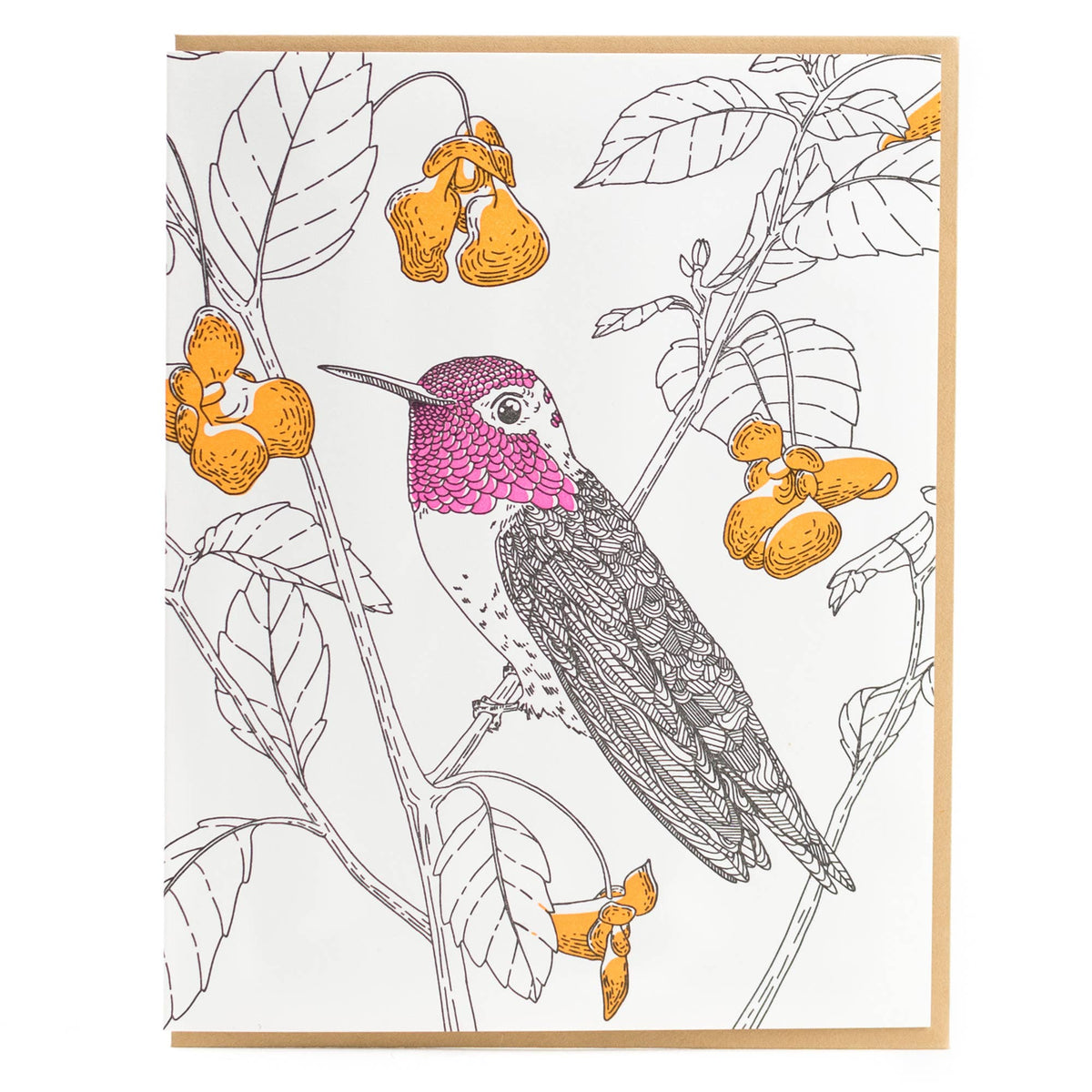Porchlight Press Letterpress - Anna&#39;s Hummingbird Card - West Coast Birds