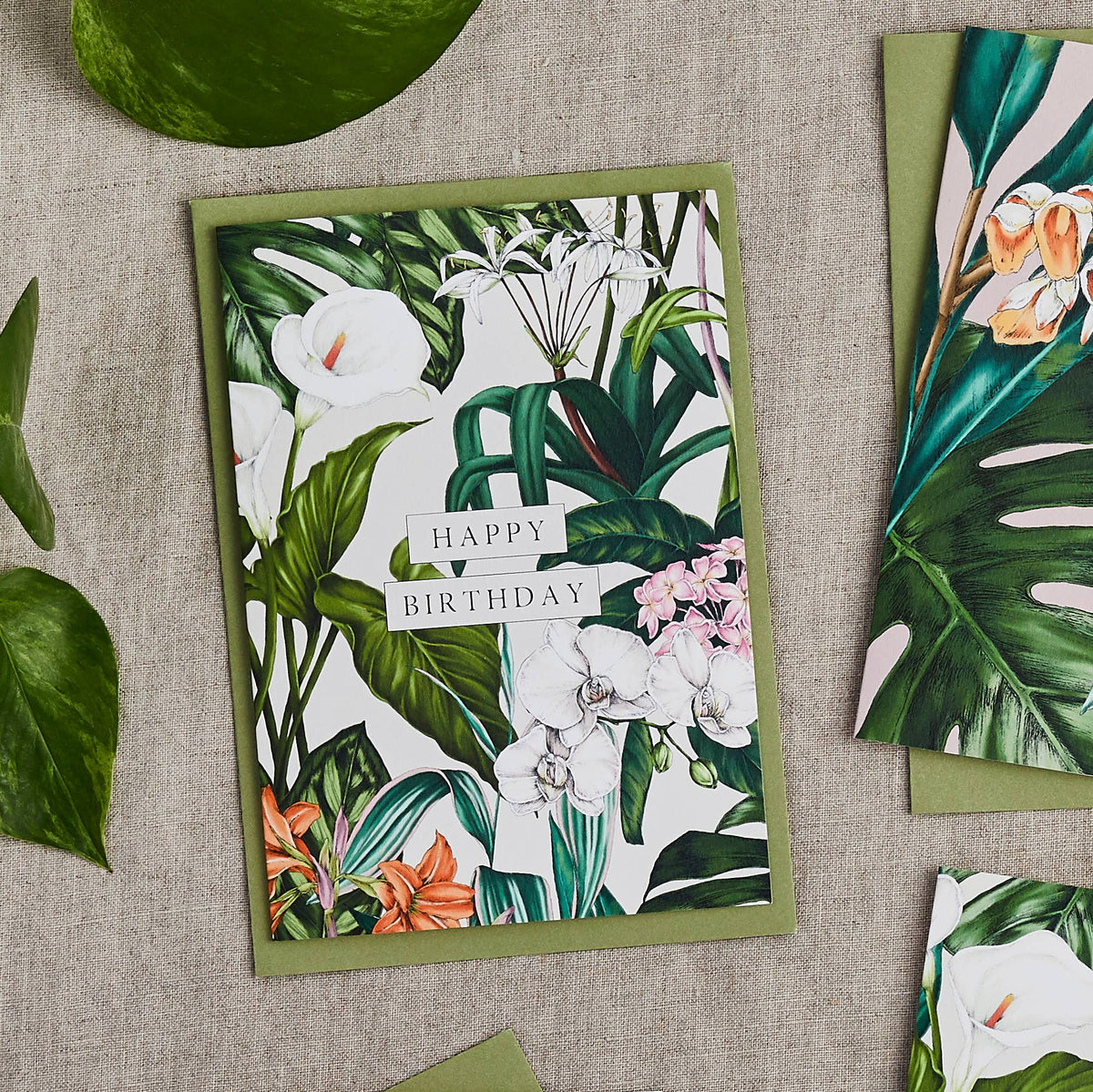 Birthday Card | Palm House Tropics/Happy Birthday | Catherine Lewis Design